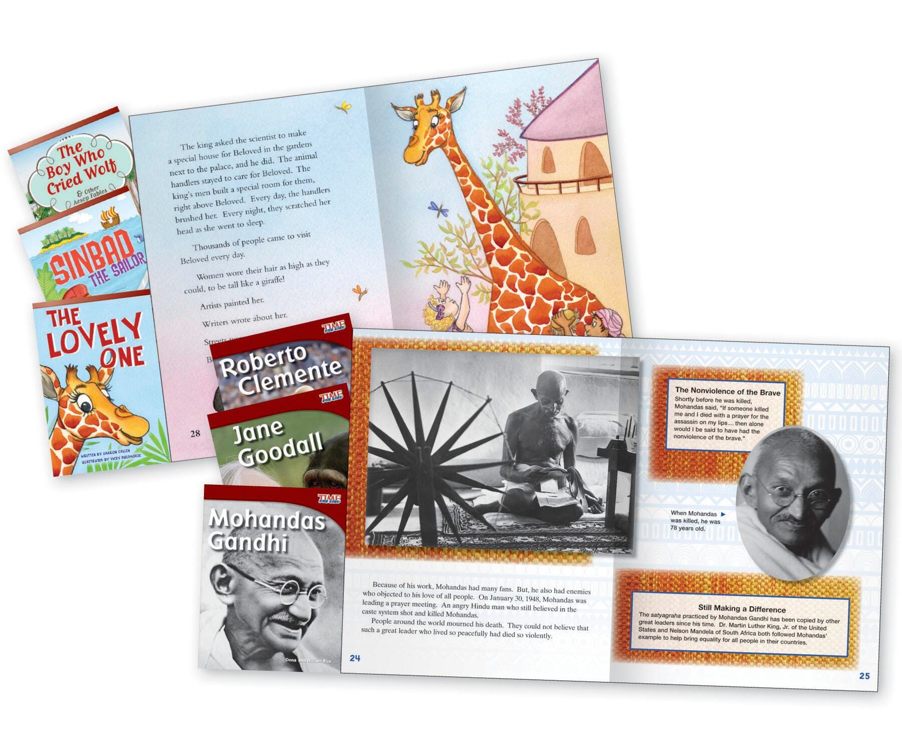 Leveled Readers, Leveled Books, Leveled Reading Books Supplies, Item Number 1468590